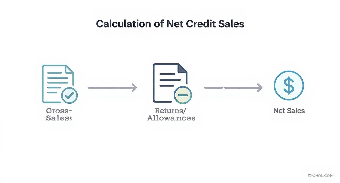 Infographic about net credit sales